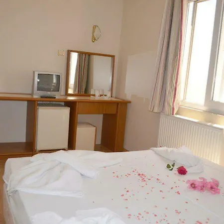 米兰大酒店 酒店 3*